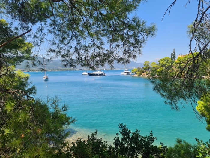 109658_sQsh2.jpg